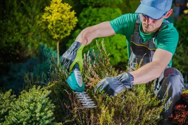 landscaping services Armonk